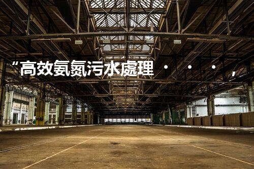 “高效氨氮污水處理，綠色環(huán)保新篇章”